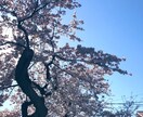 愚痴聞きます どんなお悩みも解消されますように イメージ1