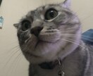プチカウンセリング イメージ2