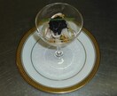 初心者向けイタリアンお教えできます 元大使公邸料理人（大使陛下の料理人）がお教え致します。 イメージ5