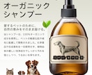 ECサイトの商品画像作ります 出品モールに対応した商品画像の提供 イメージ5