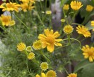 心が軽くなるお手伝いします どんな悩みでもお聞かせください イメージ1