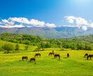 開運⭐️葉道（はどう）の呼吸法⭐️お教えします 疲れ・不調・不安・落ち込みにはまず呼吸を❤️10分でもＯＫ！ イメージ4