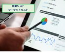 ターゲットリスト作成・営業リスト作成致します 新規顧客獲得・新規分野への進出サポート イメージ1