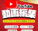 初心者歓迎】YouTube用動画を丁寧に編集します わからなくても大丈夫。あなたの世界観を一緒に作ります！ イメージ1