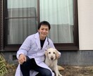 獣医師が犬猫の健康や予防について相談にのります 生活様式や食事についてなどなんでもお聞きください。 イメージ3