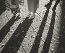 自然な表情でロケーション家族を撮ります ご家族の自然な笑顔と想いを1枚1枚に残します。 イメージ10