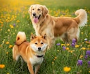 ワンちゃん・ネコちゃん　ペットの気持ち霊視します エキゾチックペットもOKです　ペット関係のお悩みも可ですよ イメージ3
