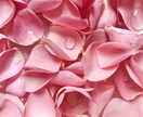 精密鑑定✴︎あの人のトリセツ教えます あの人ってどんな人？彼氏彼女上司義母等のプロファイル⭐️ イメージ7