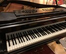 東京藝大卒!ピアノ演奏動画アドバイスします ソフィア国際音楽コンクール第二位エコールノルマル首席助手 イメージ1