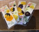 押し花しおり、コースターを作ります 季節の花をラミネートして作りました。 イメージ2