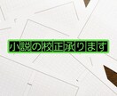 作品の校正、アドバイス致します 自分のみの構成力では少し不安……という方に イメージ1