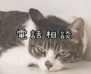 お電話相談致します お悩みや日常の出来事何でもお聞きいたします^ ^ イメージ1