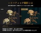 シネマティックな映像でお店のPR動画制作します 特別感のある映像でらしさを表現 イメージ3