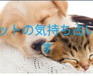 ペットの気持ち、状況を占います 大切な家族であるペットの気持ちをみながら悩みを解決します。 イメージ1