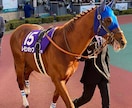 結果を出す競馬の予想の仕方教えます ★買う券種は複勝だけ！しっかり1点勝負です！ イメージ1