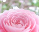 本日無料で、愚痴、ノロケ、不安、何でも聞きます 少し話したいな・・・と思った人へ イメージ1
