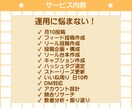 インスタ運用、まとめて代行します 企画・台本・投稿・分析・DM対応・いいね回りまで対応 イメージ3