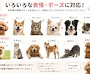 写真からペットのLINEスタンプを作成します 大切なうちの子を世界にひとつのスタンプに イメージ5
