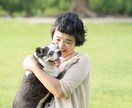 動物達と話します あなたとあなたの大切な家族を心と心でつなぎます。 イメージ1