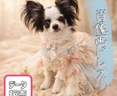うちの子をAIイラストに！初心者向け作り方教えます うちの子グッズをAIで作ろう！基礎からレッスンします イメージ10
