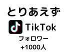 TikTok「フォロワー」増やします ご指定のアカウントのフォロワーを1000人増加させます。 イメージ1