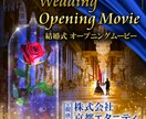 皆が大好きな世界観でオープニングムービー作ります 3typeから選べる！D◯sn◯y風のムービー作成します イメージ2