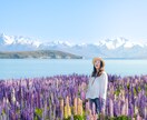 ニュージーランド国内何処でも出張撮影いたします 目を引くような魅力的な写真を提供 イメージ3