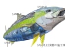 ロボット好きに刺さるメカ・ロボットイラスト描きます 設計に心、技術にアート、依頼者様の好みを捉えて最高のロボット イメージ8