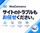 WooCommerceのお困りごとを相談できます 何を頼めばいいか分からない段階から、必要な対応を整理します イメージ7