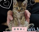 たったの3ステップでお小遣いを増やす方法を教えます あなたの個性を追加するだけでＯＫ！ イメージ1