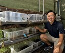 ホタルの専門家が飼育・生態の疑問にお答えしますます ホタルの飼育・生態・環境づくりまで、お気軽にご相談ください。 イメージ1