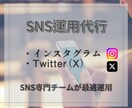 あなたのSNS運用をプロが代行いたします 1ヶ月間SNS運用のプロチームが代行!運用目的を達成します! イメージ1