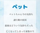 ペットちゃんとお話します わんちゃん、猫ちゃん、鳥ちゃん、小動物ちゃん全般 イメージ1