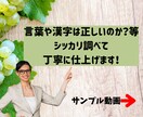 Vrewでテロップ入れを『丁寧』に行います 丸投げイメージでもOK！無料修正３回までOK！ イメージ3