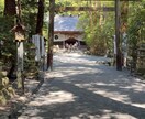 年に一度の大祭、椿大神社にある庚龍神社に参ります 5月１２日に行われる大祭で玉串を奉納致します イメージ1