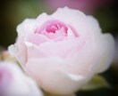 原因不明の体調不良や精神的な落ち込みを視ます 病院に行ってもわからない体調不良を癒しましょう。 イメージ4