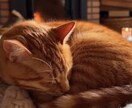 大切な想いを伝える動画説明文を作成します あなたの大切な瞬間を、気持ちのこもった言葉で残します。 イメージ1
