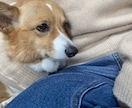 どんな小さなことでも聞きます あなたの吐き出し口に使ってください イメージ1