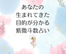 あなたの生まれてきた今世の目的をお伝えします •人生の目的•課題を知り生きやすくなる紫微斗数&タロット占い イメージ1