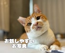 愛するペットとおはなしできます ペットちゃんがあなたに伝えたいメッセージ イメージ2
