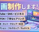 丸投げOK！丁寧なヒアリングでイメージを形にします 案はあるけど動画にできないなんてお悩みをお任せください！ イメージ1