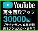 YouTube【再生回数】30000回 ＋ します YouTube/分割可/再生/日本アクセス無料/増やす/ イメージ1