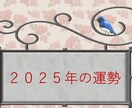 ２０２５年の運勢を占います 新しい年の「あなたの傾向」を知り「対策」を練りましょう。 イメージ1