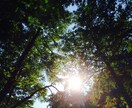 あなたのお話お聞きします とにかく、誰かに聞いてほしい！そんな時にお役立てください。 イメージ1