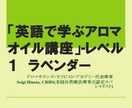 セラピストさん用の英会話レッスン致します 英語圏のクライアントさんをお迎えする場合に役立つ英会話です。 イメージ1