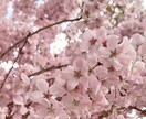 専用出品にします 専用です。他の人は購入しないでください。 イメージ1