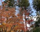 一緒に話しませんか？待ってます どんな話題でも大丈夫です。一緒に話しませんか？ イメージ1