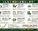 1級造園技能士が庭仕事の概算見積りをします 写真から剪定・伐採・草刈りの費用をプロが算出 イメージ3
