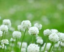 人生の棚卸しであなたの強みを見つけます イメージ1