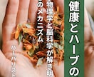 電子書籍(Kindle)の世界販売を代行します 日本語原稿のみで、英訳・出版代行も丸投げOK！ イメージ4
